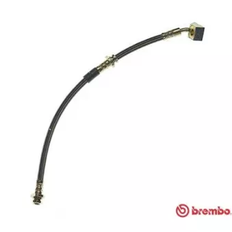 Flexible de frein BREMBO T 56 095