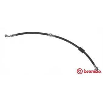 Flexible de frein BREMBO T 56 116
