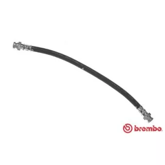 Flexible de frein BREMBO T 56 117