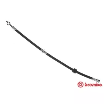 Flexible de frein BREMBO T 56 137
