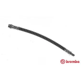 Flexible de frein BREMBO T 56 146