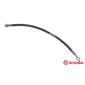 Flexible de frein BREMBO T 56 148
