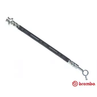 Flexible de frein BREMBO T 56 161