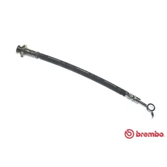 Flexible de frein BREMBO T 56 162