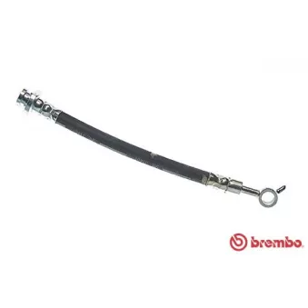 Flexible de frein BREMBO T 56 165
