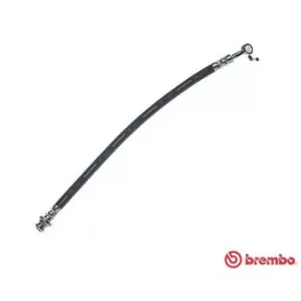Flexible de frein BREMBO T 56 167