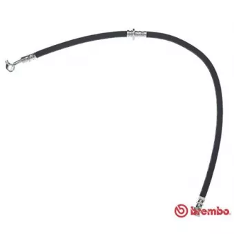 Flexible de frein BREMBO T 56 184