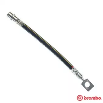 Flexible de frein BREMBO T 59 015
