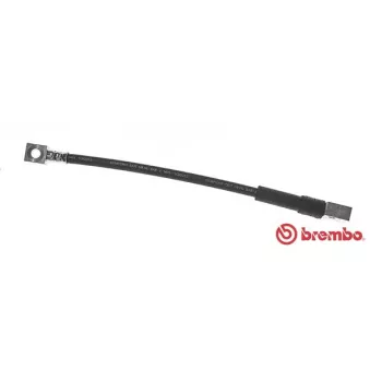 Flexible de frein BREMBO T 59 053
