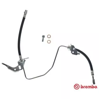Flexible de frein BREMBO T 59 070