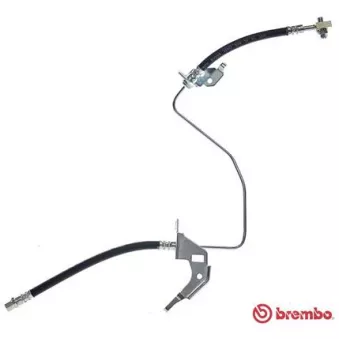 Flexible de frein BREMBO T 59 071