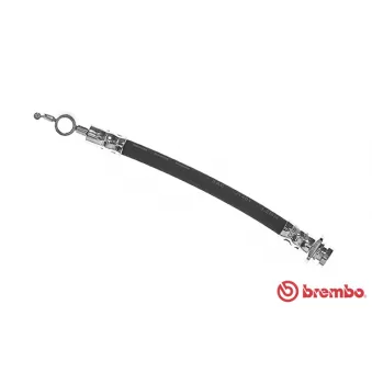 Flexible de frein BREMBO T 59 076