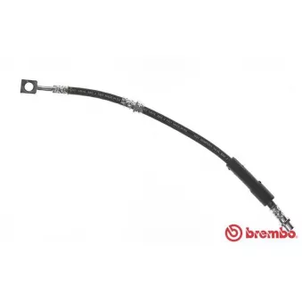 Flexible de frein BREMBO T 59 080
