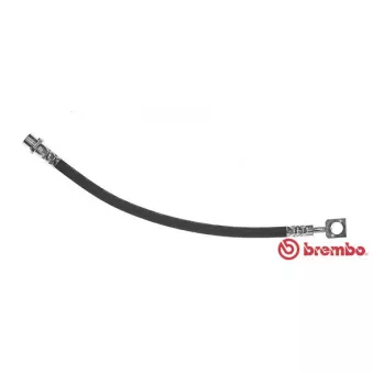Flexible de frein BREMBO T 59 081
