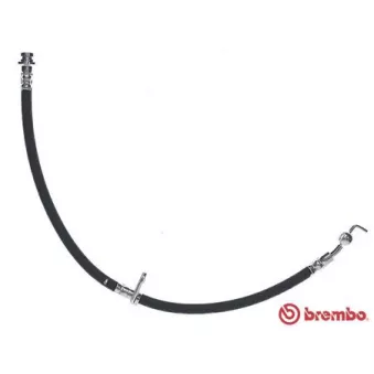 Flexible de frein BREMBO T 59 084
