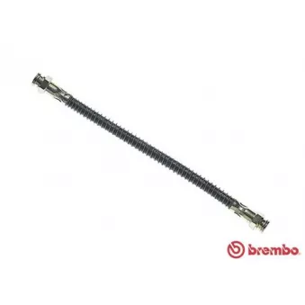 Flexible de frein BREMBO T 61 006