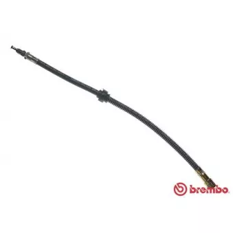 Flexible de frein BREMBO T 61 017