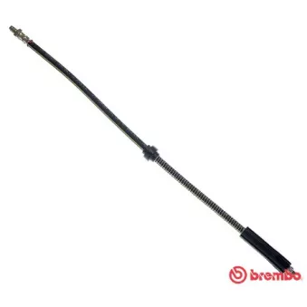 Flexible de frein BREMBO T 61 021