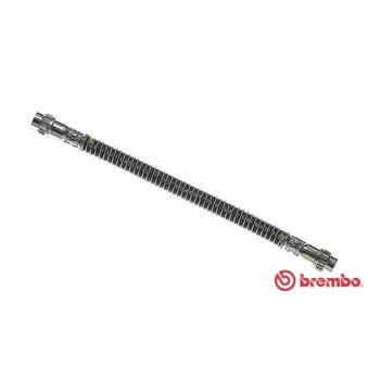 Flexible de frein BREMBO T 61 024