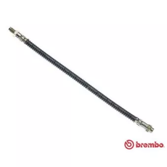 Flexible de frein BREMBO T 61 029