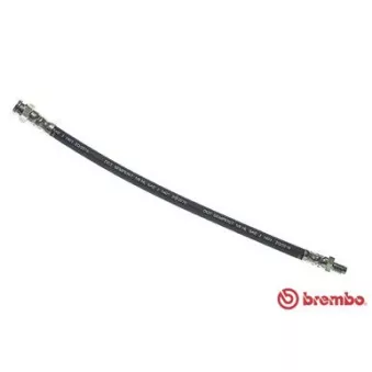 Flexible de frein BREMBO T 61 032