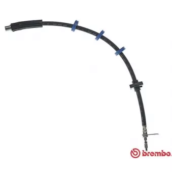 Flexible de frein BREMBO T 61 034