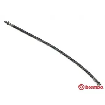 Flexible de frein BREMBO T 61 051