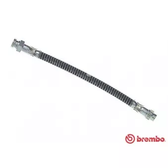 Flexible de frein BREMBO T 61 053