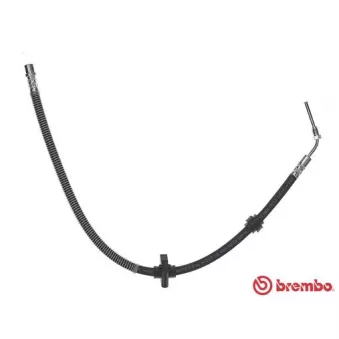 Flexible de frein BREMBO T 61 059