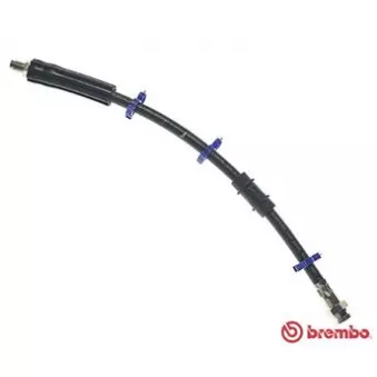 Flexible de frein BREMBO T 61 061