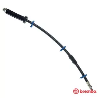 Flexible de frein BREMBO T 61 066