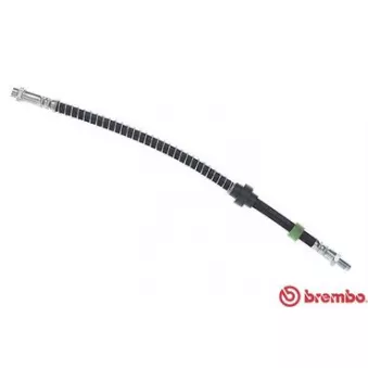 Flexible de frein BREMBO T 61 072