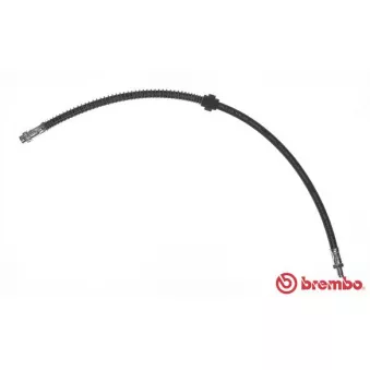 Flexible de frein BREMBO T 61 074