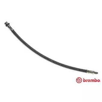 Flexible de frein BREMBO T 61 082
