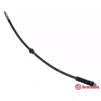 Flexible de frein BREMBO T 61 084