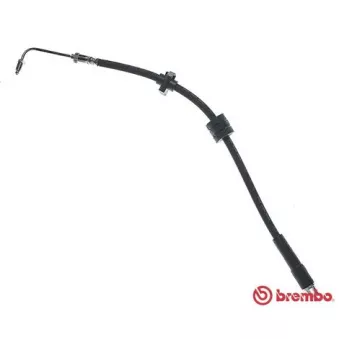Flexible de frein BREMBO T 61 088