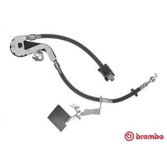 Flexible de frein BREMBO T 61 115