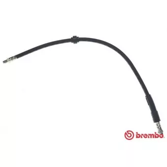 Flexible de frein BREMBO T 61 116