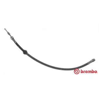 Flexible de frein BREMBO T 68 073