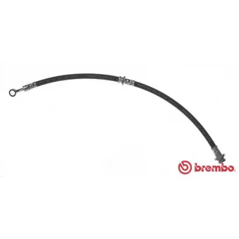 Flexible de frein BREMBO T 78 031