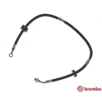 Flexible de frein BREMBO T 79 009