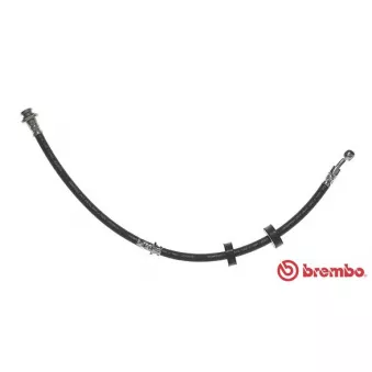 Flexible de frein BREMBO T 79 017