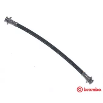 Flexible de frein BREMBO T 79 024