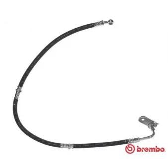 Flexible de frein BREMBO T 79 033