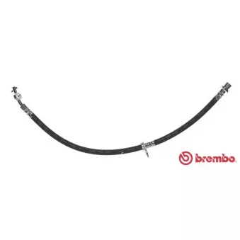 Flexible de frein BREMBO T 83 031