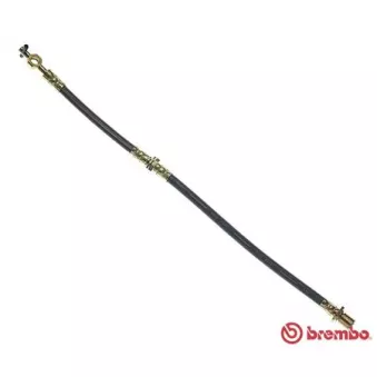 Flexible de frein BREMBO T 83 033