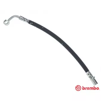 Flexible de frein BREMBO T 83 101