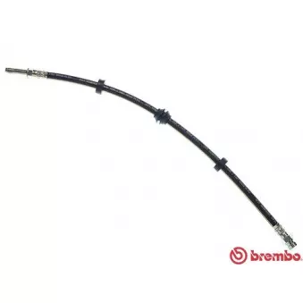 Flexible de frein BREMBO T 85 031