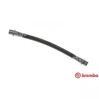 Flexible de frein BREMBO T 85 067