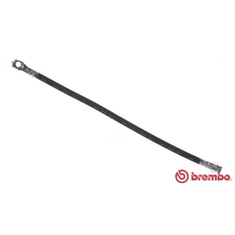 Flexible de frein BREMBO T 85 080